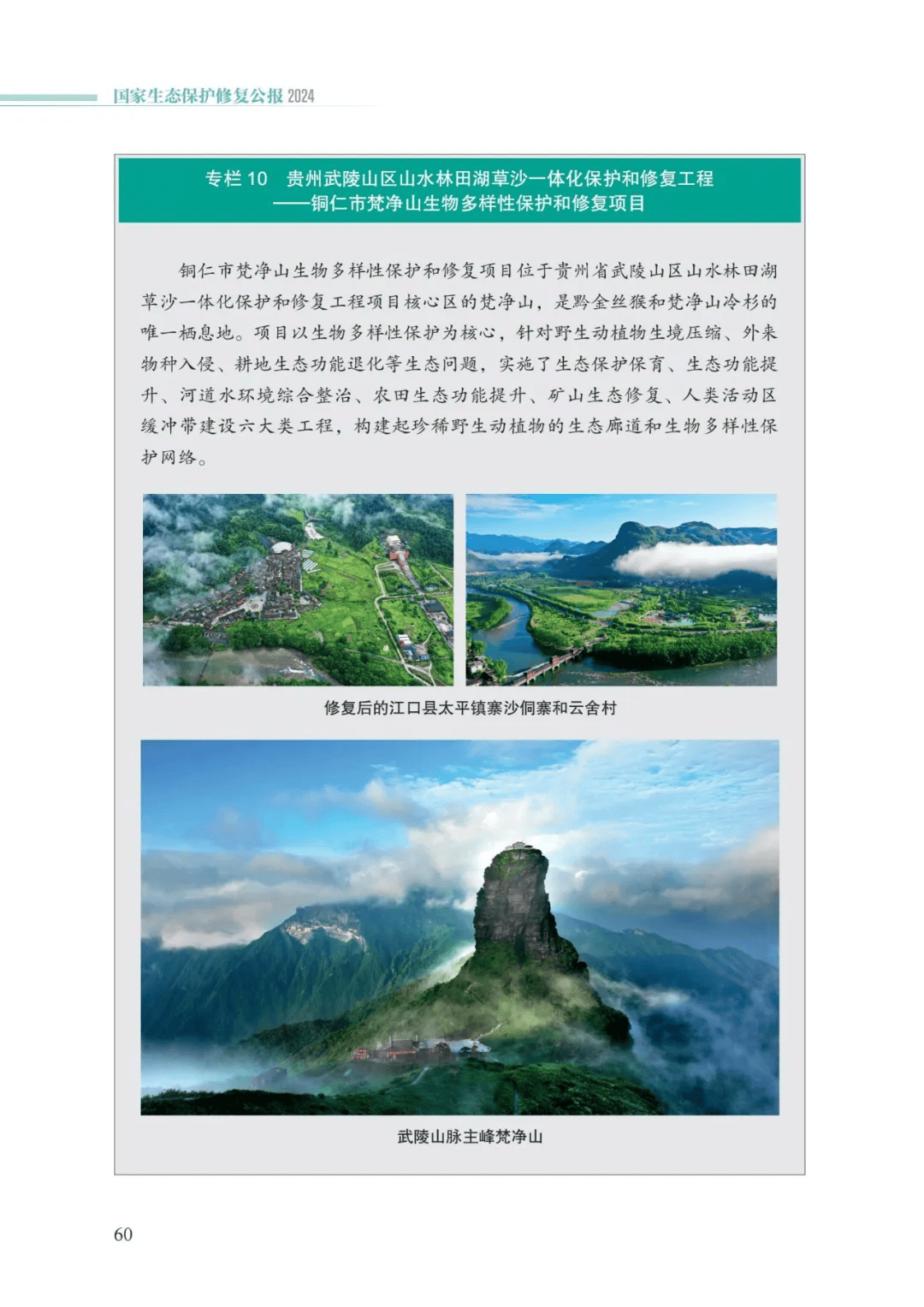 卡卡湾厅·平台(中国区)官方网站